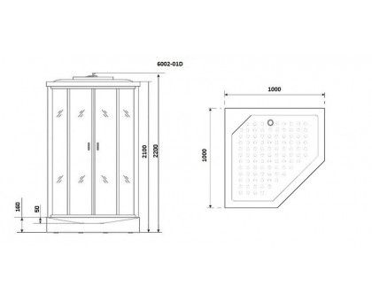 Душевая кабина Niagara Premium NG-6002-01D 100х100 см